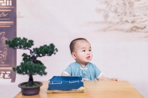 定西孕妇孕期食谱APP